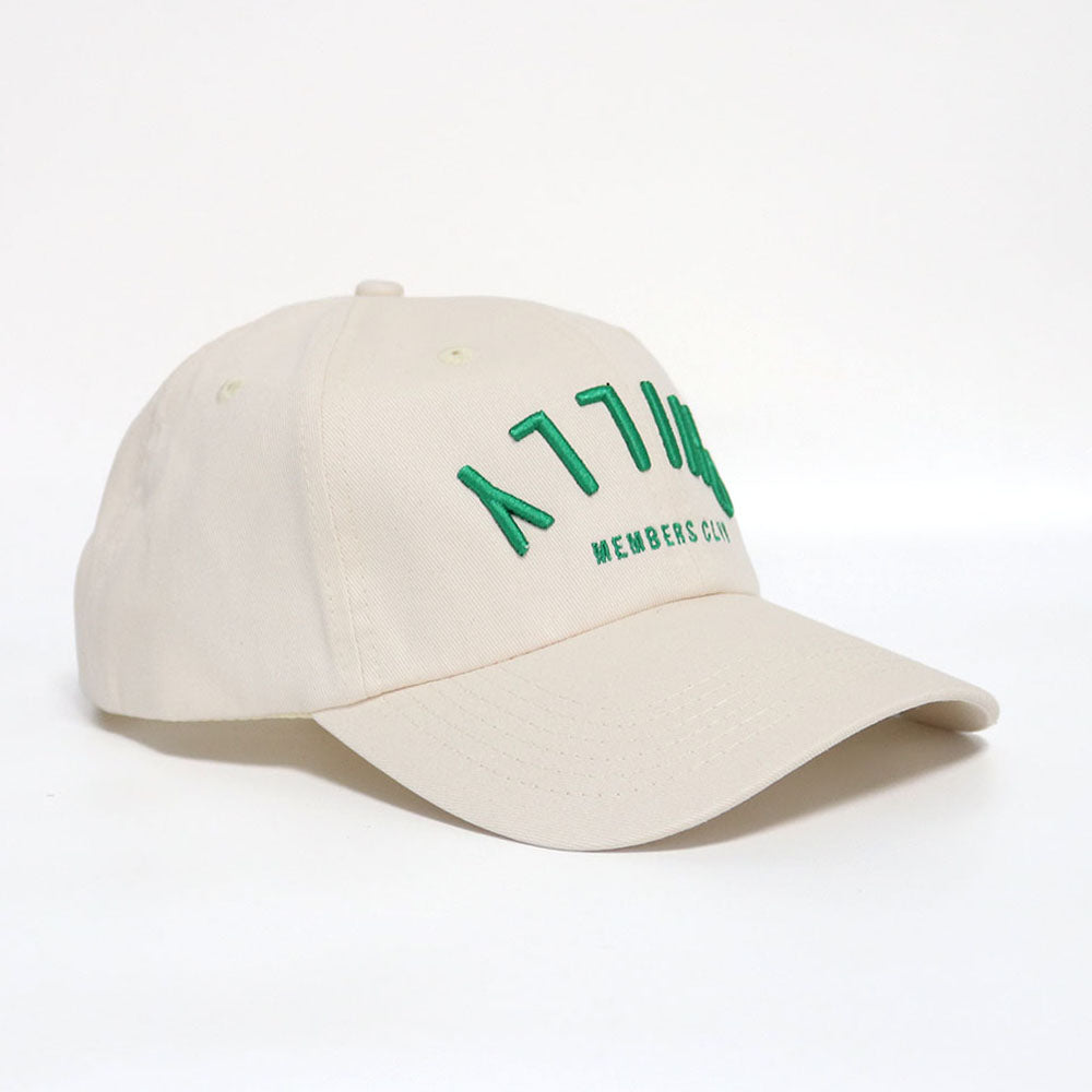 Dad Hat- Upside Down Philly | Creme & Green